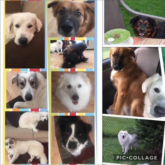 Meet your Posher, Jackie - Picture 2 of 2